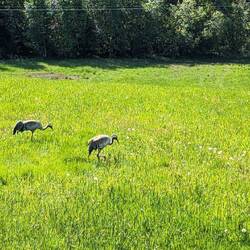 Auf dem Weg entdeckt. 😉