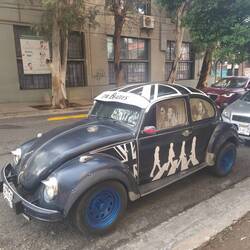 Käfer sind sehr beliebt 🚗🪲