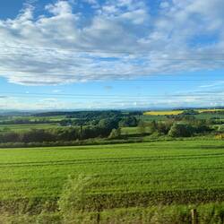 View from train