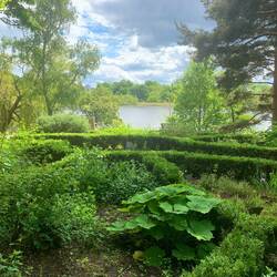 Public gardens behind 900 yr old church