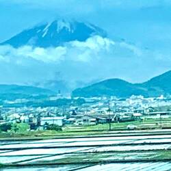 Mt. Fuji, with fields of rice patties