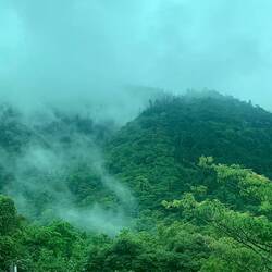 Climbing by bus to Hakone