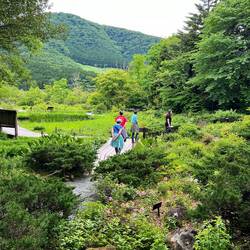 Hakone Botanical Garden of Wetlands