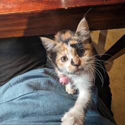 Cutest little thing