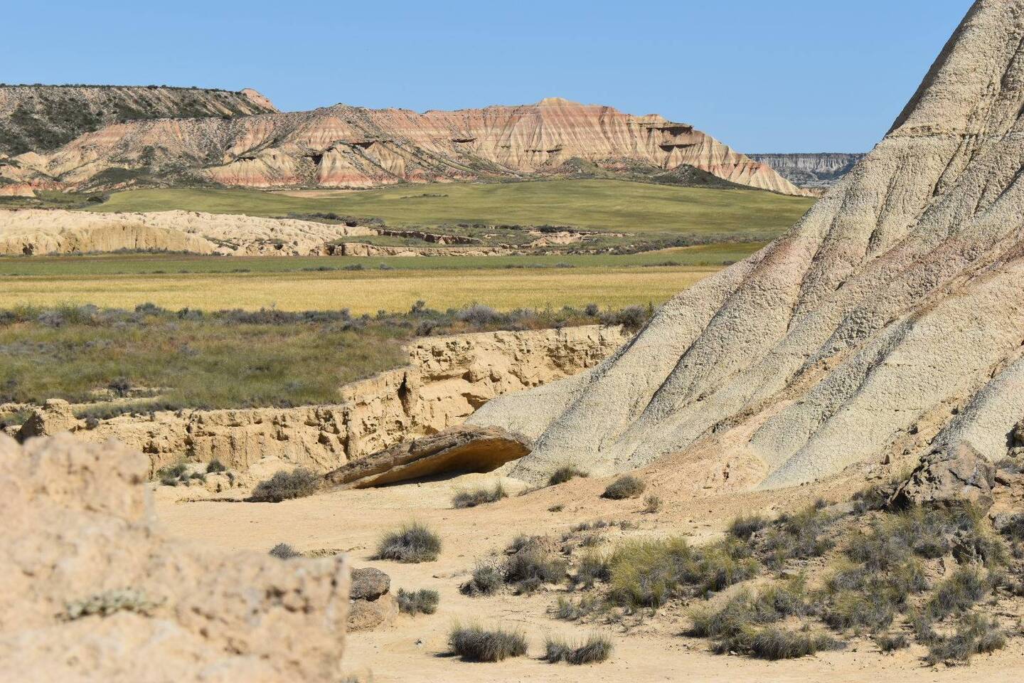 Bardenas reales