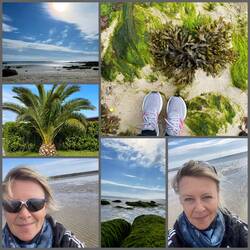 morgens am Strand 💙