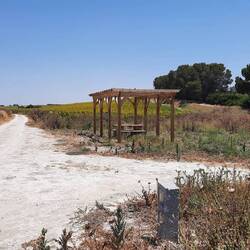 Leider kein Schatten.