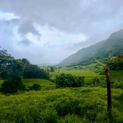 there was rain in between