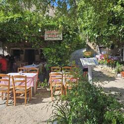 Walnusskuchen & Cappuccino