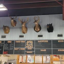 Hog Heaven Bar-B-Que, huge portions!