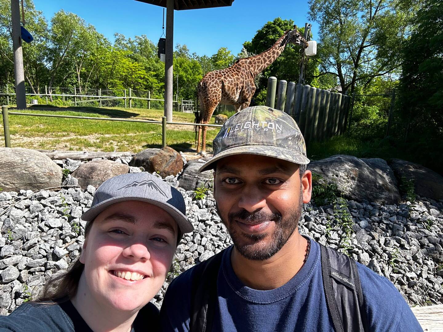 Giraffe