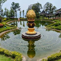 Lotus flower fountain with turtles chilling in it