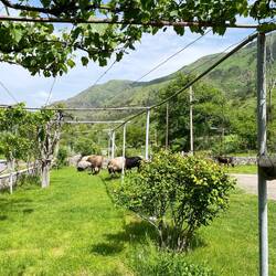 Besuch in der Unterkunft