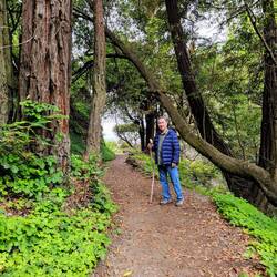 Charlie on the path beside Partington Creek, Tanbark Trail