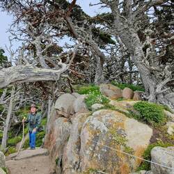 Charlie on the rocky trail, framed by tree limbs