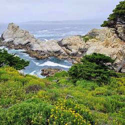 Wild, craggy coastline