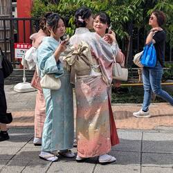 Kimonos sind beliebt