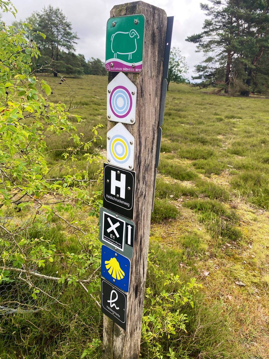 Kaum noch Platz für ein NST Schild