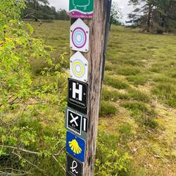 Kaum noch Platz für ein NST Schild