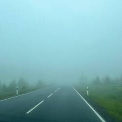 Die Nebelwand, wo man einige Male den nächsten Pinguin nicht sehen konnte oder das nächste Auto.😅