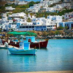 View from lunch table