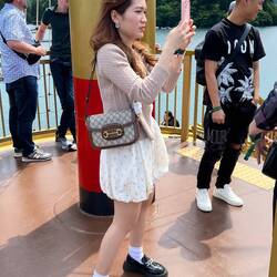 A compatriot Vietnamese