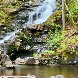 Wasserfall am Macintosh Brook Trail