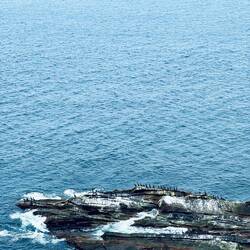 Meat Cove Overlook Trail