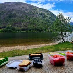 todays picknick area