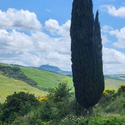 Radicofani in the distance