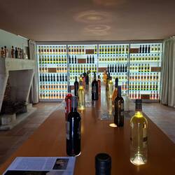 Weinprobe in Talmont