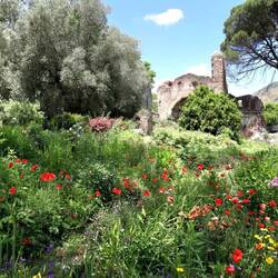 Giardino di Ninfa