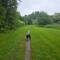 Niska enjoying exploring the track, despite the damp and grey skies