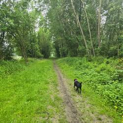 "La Val de Serre" track runs down a converted railway line for 16km, it was a pleasant walk