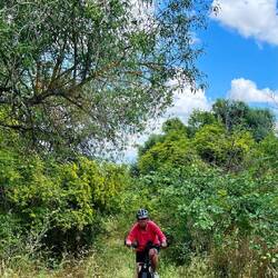...und auch die Strecke danach war abenteuerlich