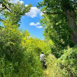 ....dann ging es nur noch zu Fuß weiter....