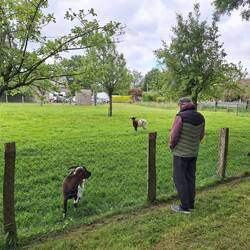 Abendspaziergang um unseren CP