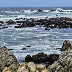 Pacific view from 17-mile drive