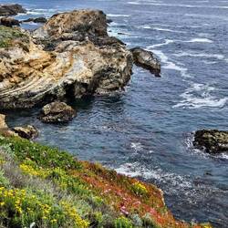 Cliffside view with flowers