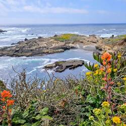 Sea Lion Point Trail view