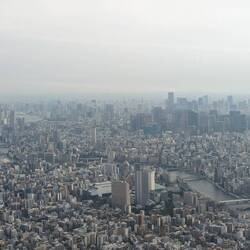 Views from the skytower