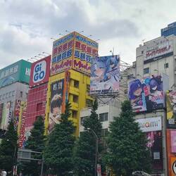 Madness in Akihabara