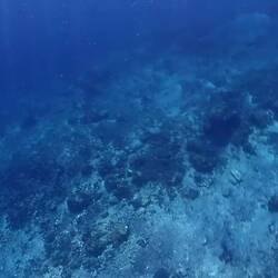 Nicht so schnell, meine Liebe