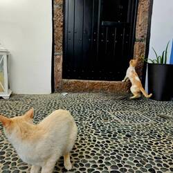 On s'est fait des amis...