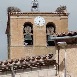 Storks on the church.