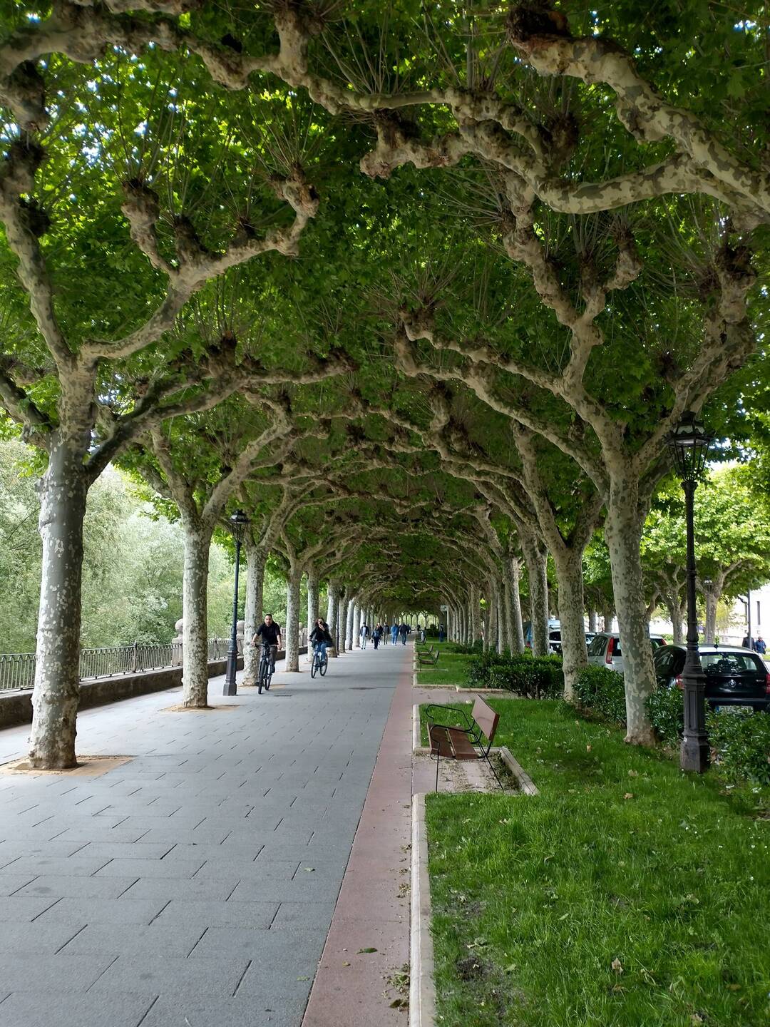 Along the river in Burgos.