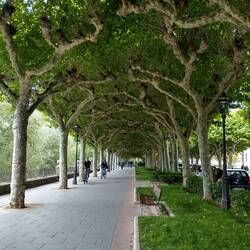 Along the river in Burgos.