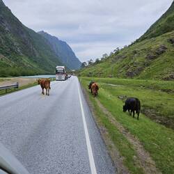 Unser Abendessen heute?