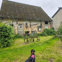 Collection of farming equipment from bygone years interested Niska