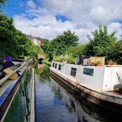 A well established garden on top of this boat